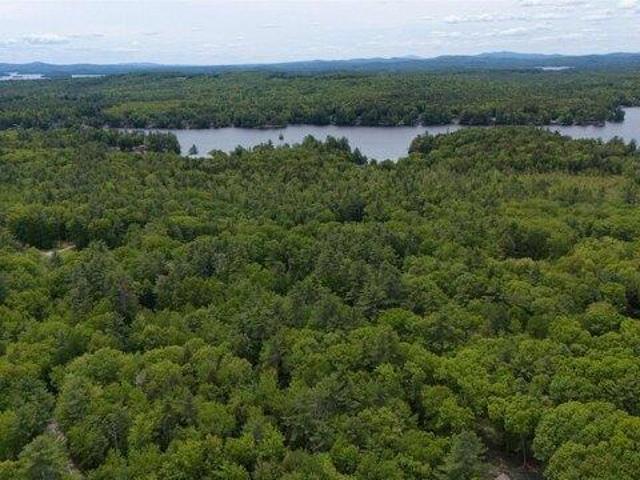 Land for sale in New Hampshire