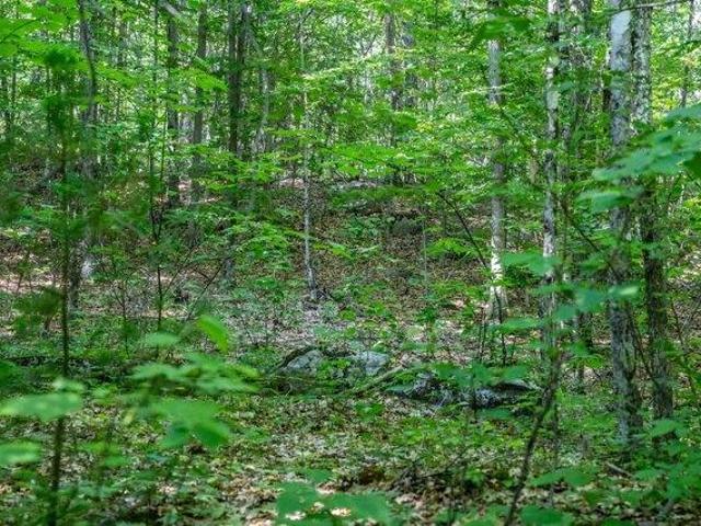 Land for sale in New Hampshire