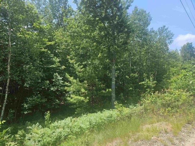 Land for sale in New Hampshire