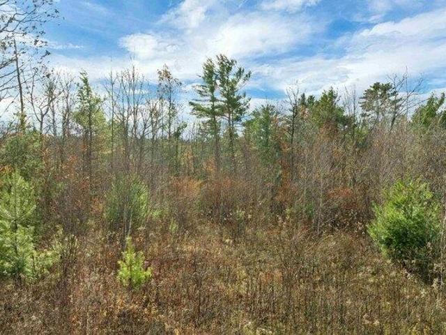 Land for sale in New Hampshire