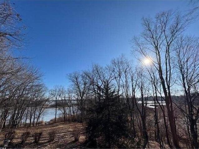 Land for sale in Mound