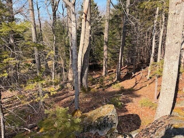 Land for sale in Mount Desert, Maine