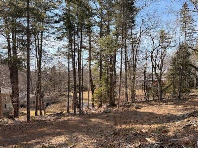 Land for sale in Mount Desert, Maine