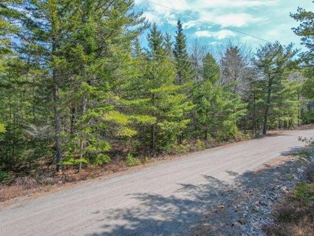 Land for sale in Mount Desert, Maine