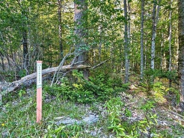 Land for sale in Maine