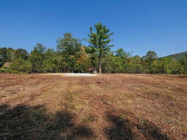 Land for sale in Mount Holly, Vermont