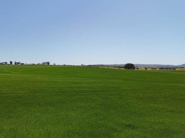 Land for sale in Murray Town, South Australia
