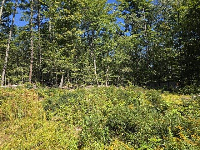 Land for sale in Naples, Maine