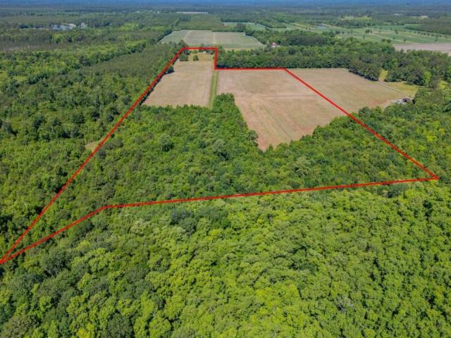 Land for sale in North Carolina