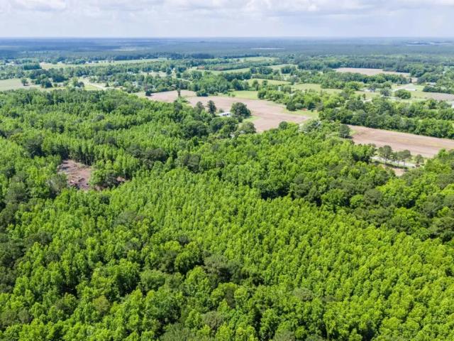Land for sale in Burgaw, North Carolina