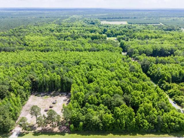 Land for sale in Burgaw, North Carolina