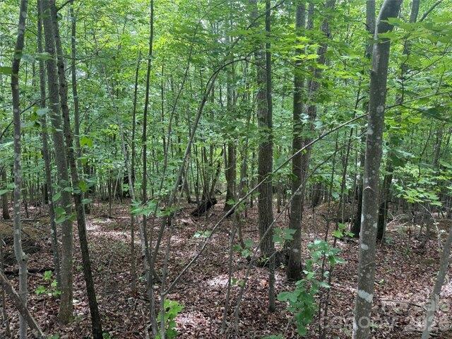 Land for sale in North Carolina