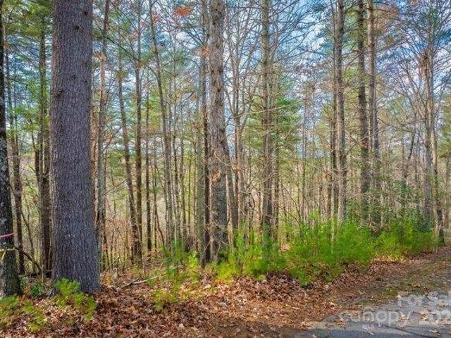Land for sale in North Carolina