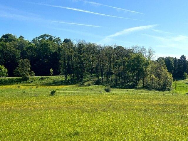 Land for sale in New Berlin, New York