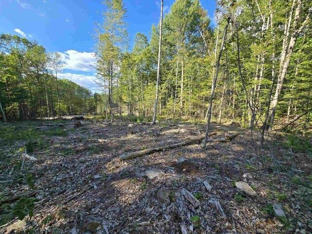 Land for sale in New Hampshire