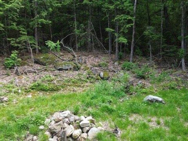 Land for sale in Davis, New Durham
