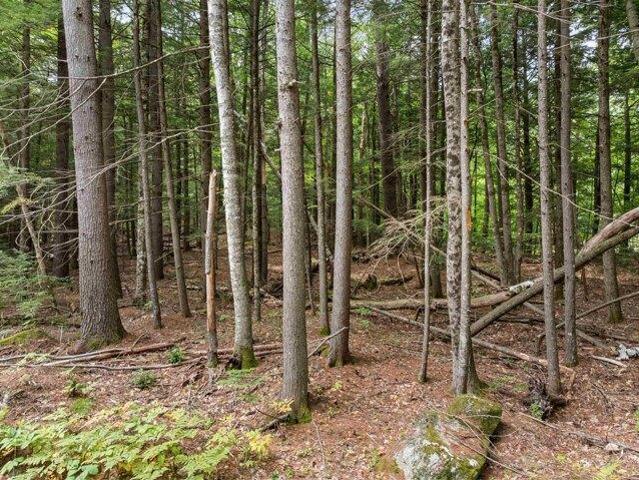Land for sale in New Hampshire