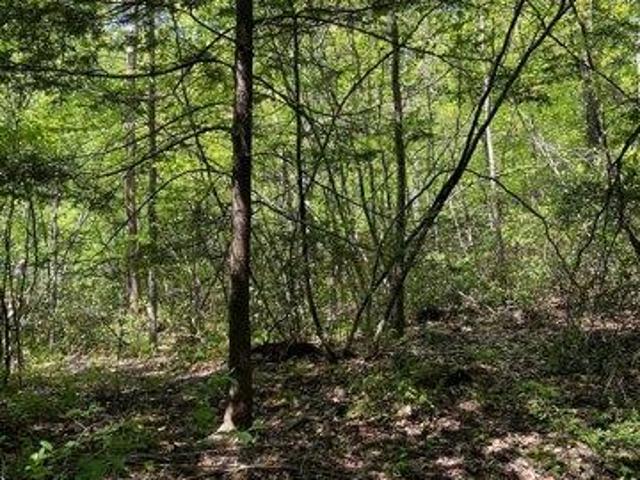 Land for sale in New Hartford, Connecticut