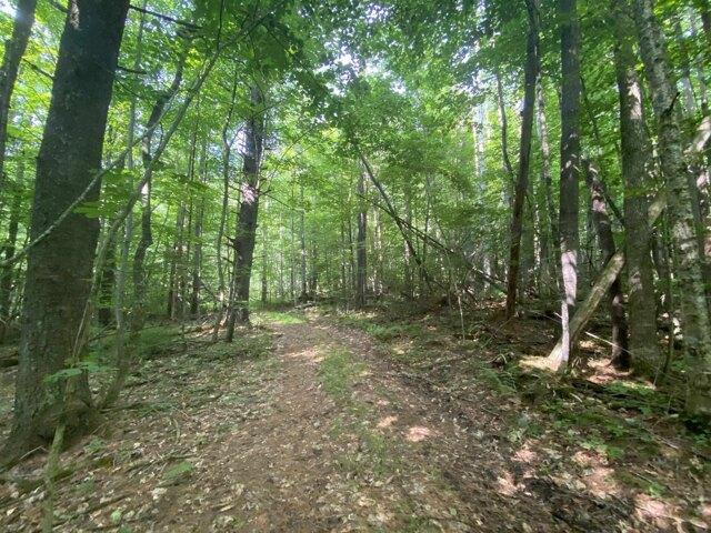 Land for sale in New Haven, Vermont