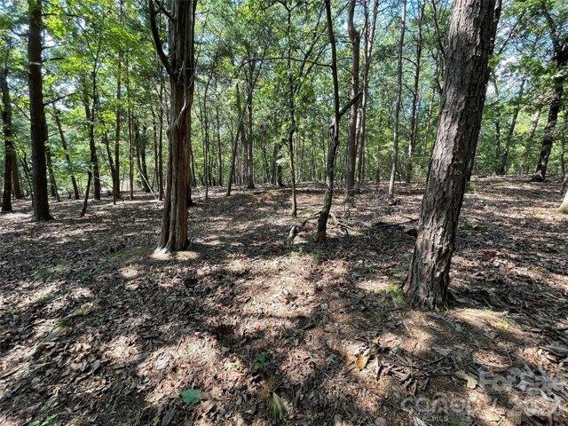 Land for sale in New London, North Carolina
