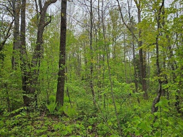 Land for sale in New Sharon, Maine