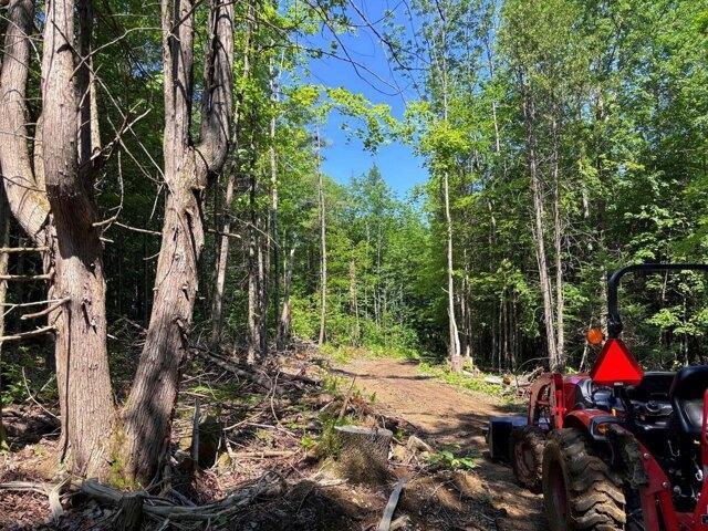 Land for sale in New Sharon, Maine