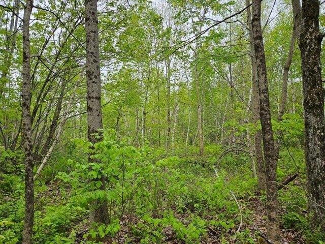 Land for sale in New Sharon, Maine