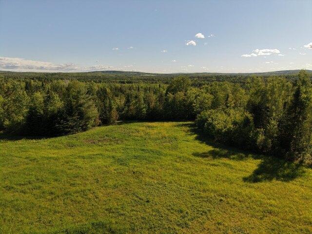 Land for sale in New Sweden, Maine