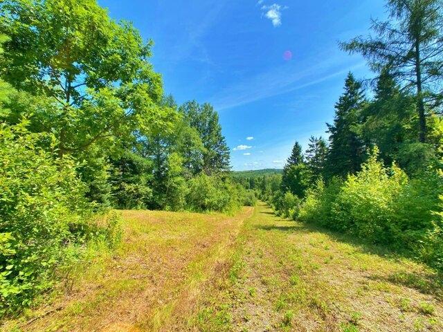Land for sale in New Sweden, Maine