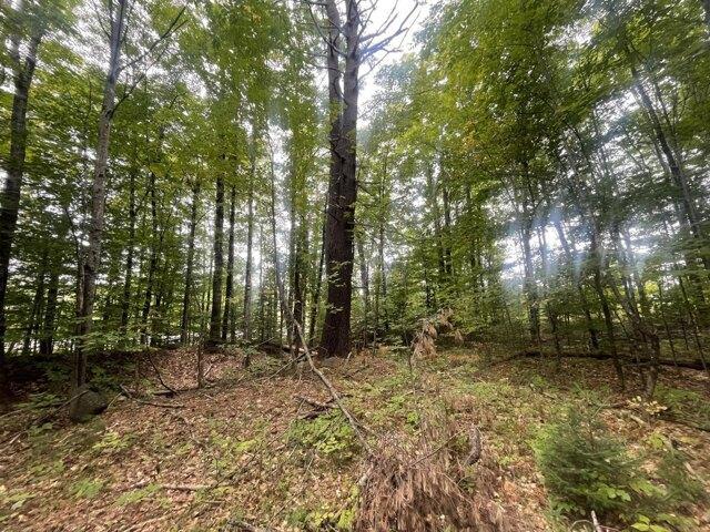 Land for sale in New Vineyard, Maine