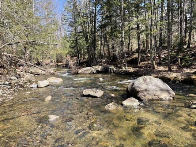Land for sale in New Vineyard, Maine
