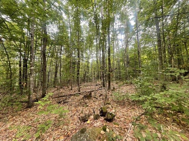 Land for sale in New Vineyard, Maine