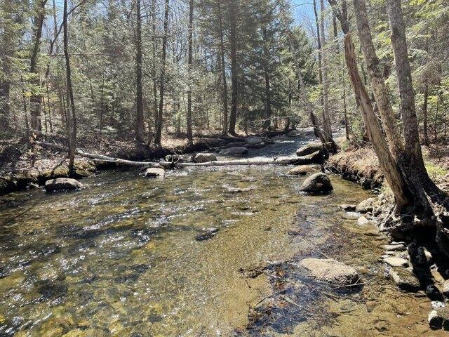 Land for sale in New Vineyard, Maine