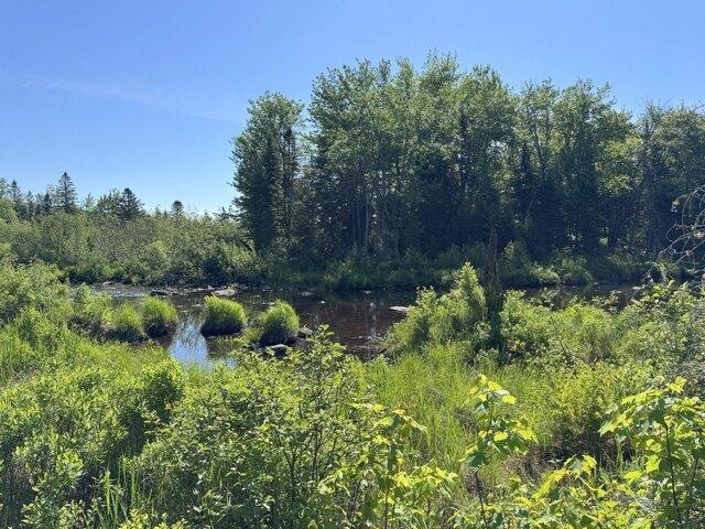 Land for sale in New Vineyard, Franklin County
