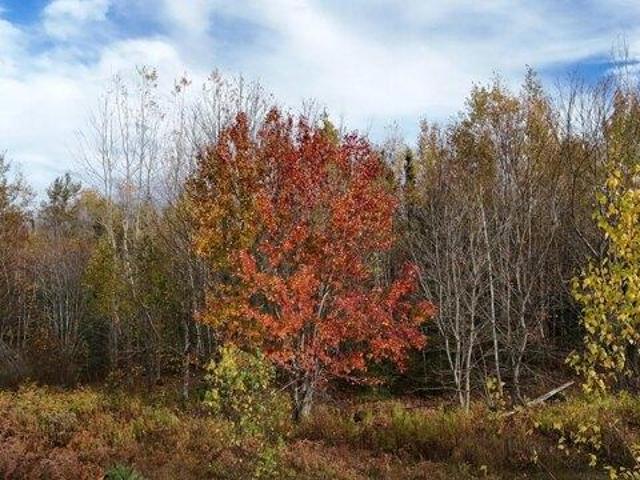Land for sale in Hampden, Maine