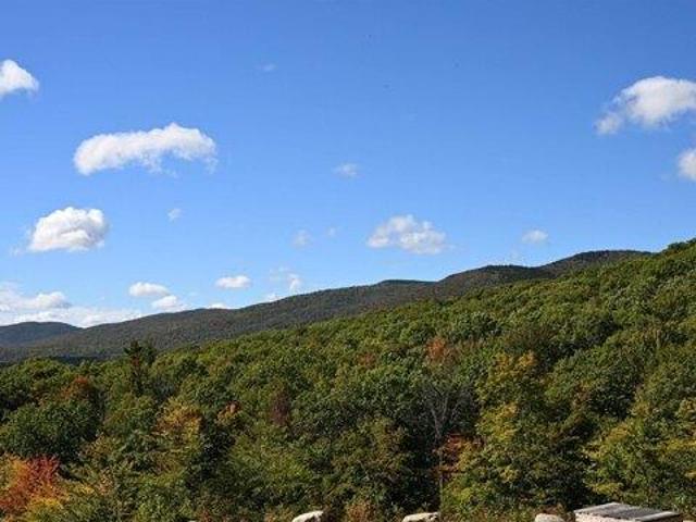 Land for sale in Newbury, Merrimack County