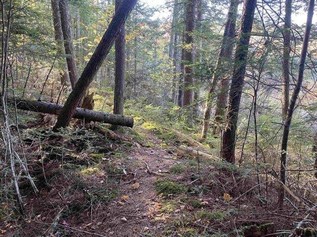 Land for sale in Newbury, Vermont