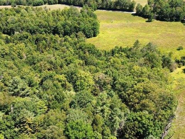 Land for sale in Newbury, Vermont