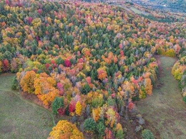 Land for sale in Newbury, Orange County