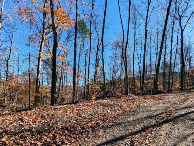 Land for sale in Newfane, Vermont