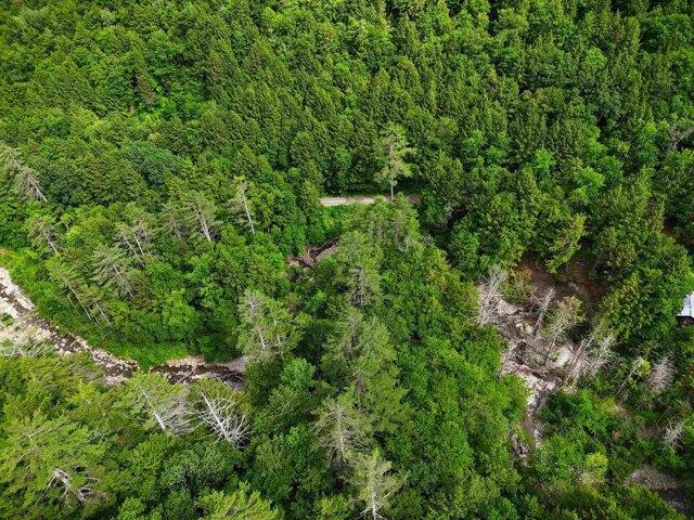 Land for sale in Newfane, Vermont