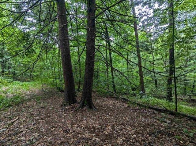 Land for sale in Newfane, Vermont