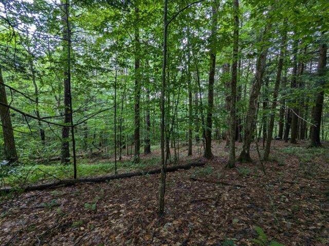 Land for sale in Newfane, Vermont