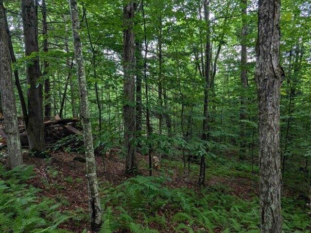 Land for sale in South Newfane, Newfane