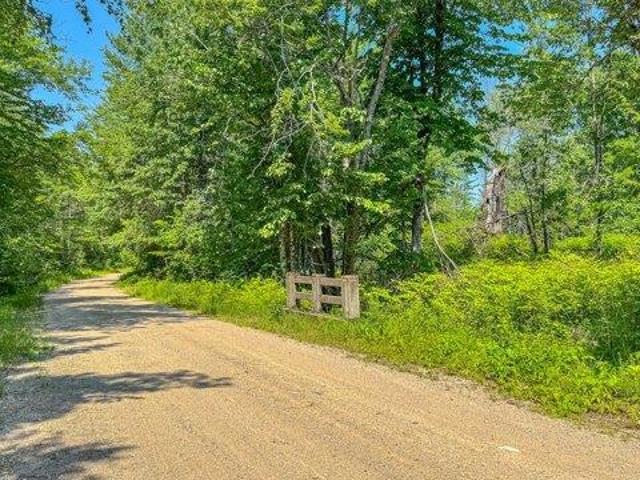 Land for sale in Newfield, Maine