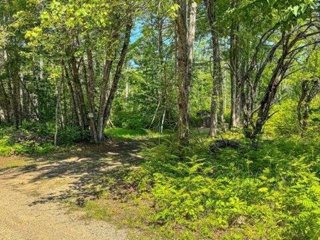 Land for sale in Newfield, Maine