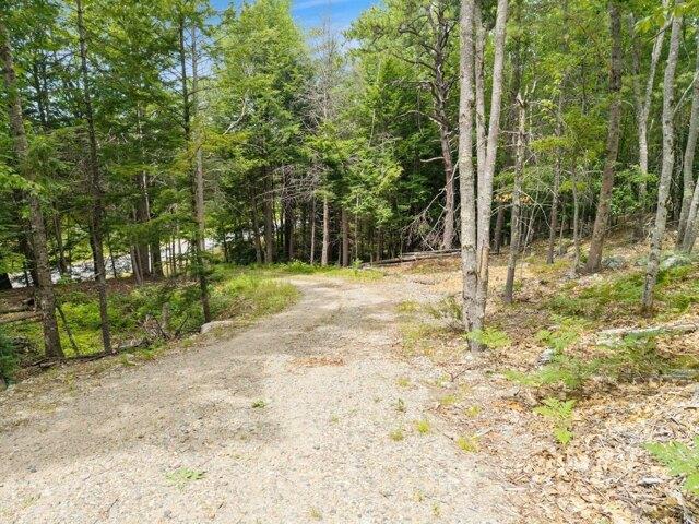 Land for sale in Newfield, Maine
