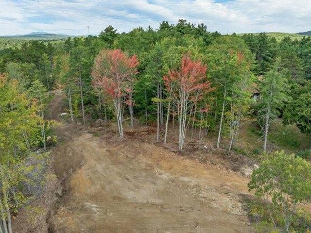 Land for sale in Newfield, Maine
