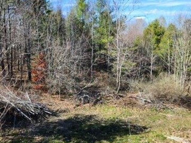 Land for sale in Newport, Maine