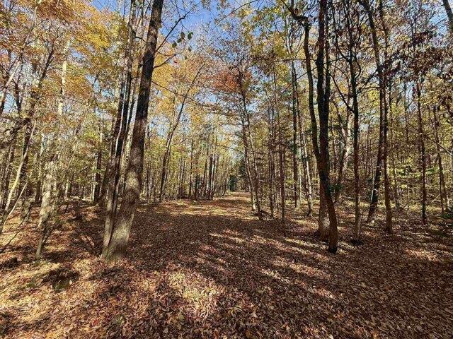 Land for sale in Newport, Vermont